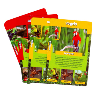 Junglelife Weetjes Kwartet1