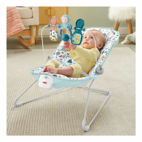 Fisher Price Bouncer Wipstoel1