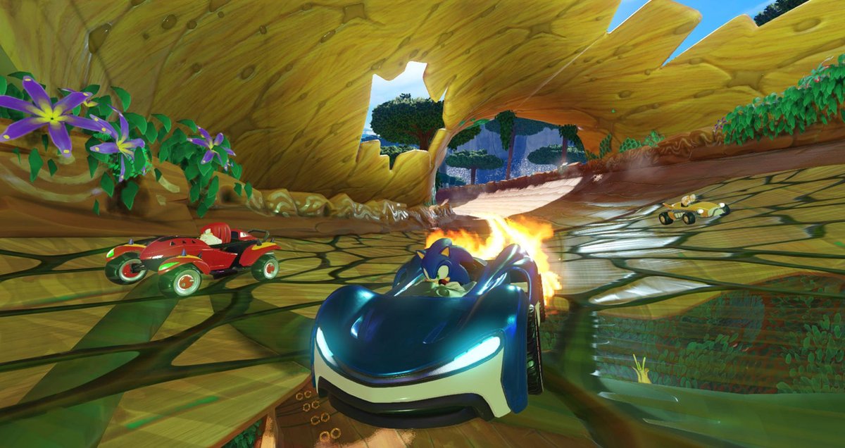 Team Sonic Racing Nintendo Switch2