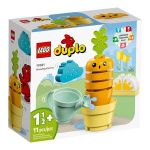 10981 LEGO Duplo Groeiende Wortel