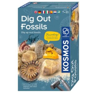 Kosmos Dig Out Fossils